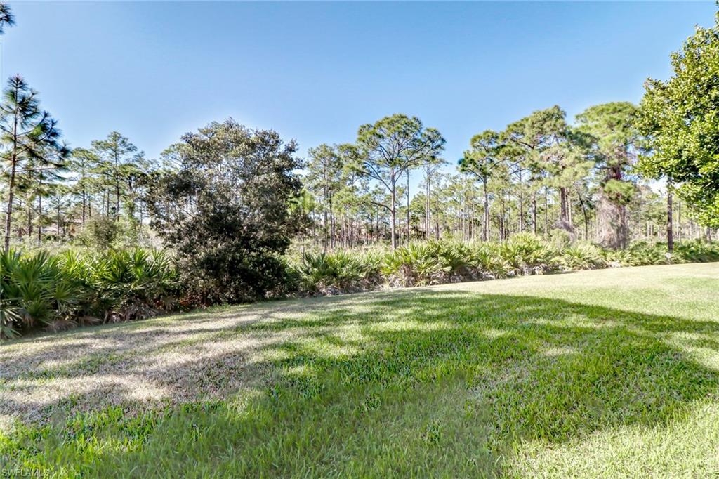 MEADOWS OF ESTERO - Residential