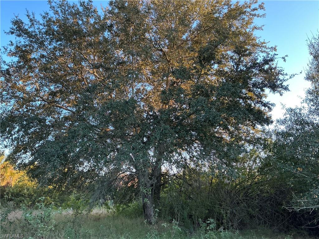 GERBER GROVES SEC 1 - Land