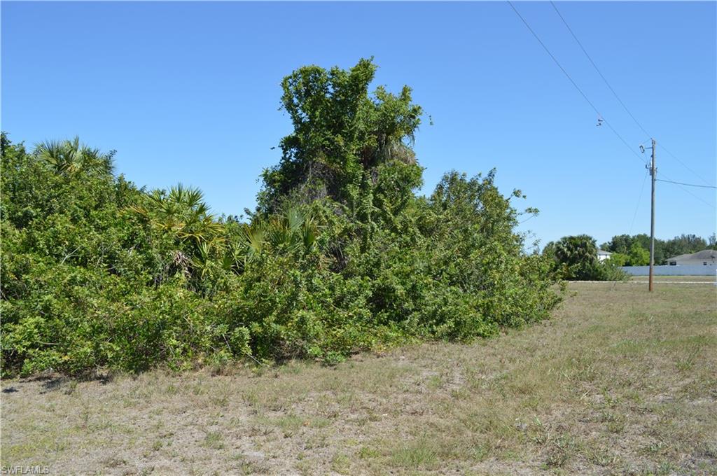 CAPE CORAL - Land