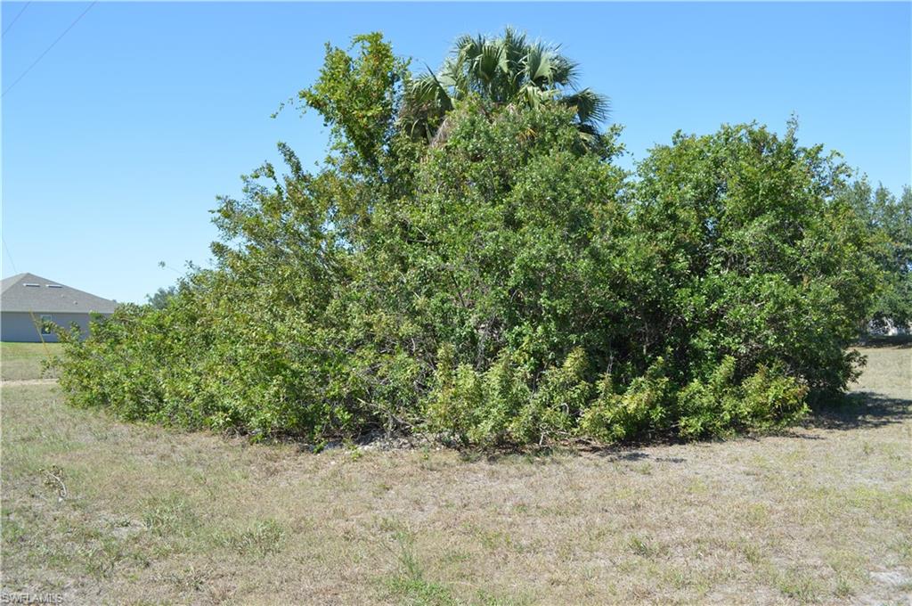 CAPE CORAL - Land