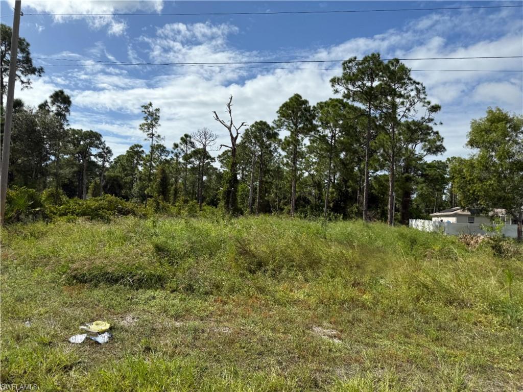 LEHIGH ACRES - Land