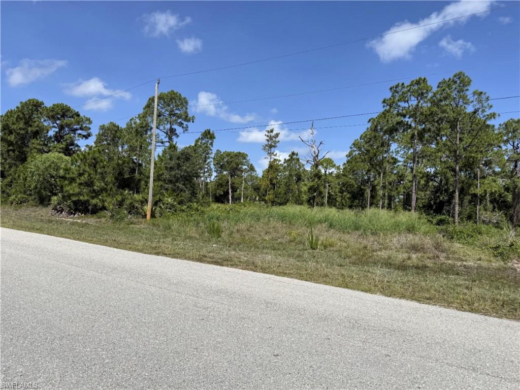 Residential 1/4-acre lot. Excellent location, the lot is mostly cleared and has easy access to Bell Blvd and 
State Rd 82. Short distance to schools and shopping.