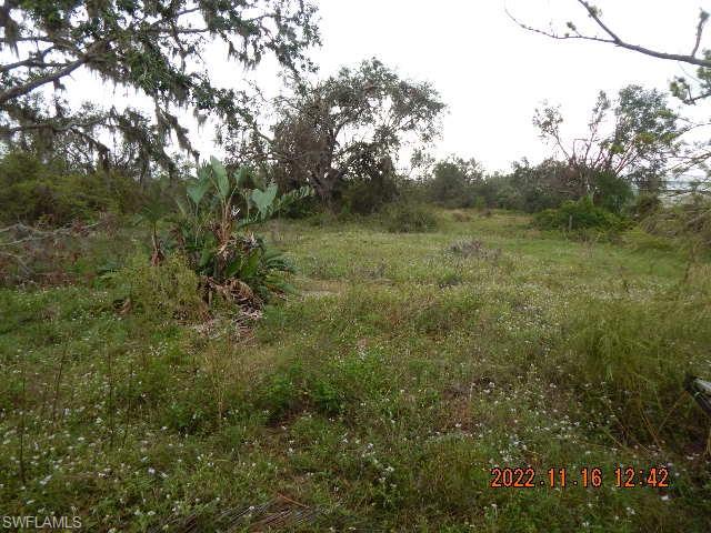 PORT CHARLOTTE - Residential