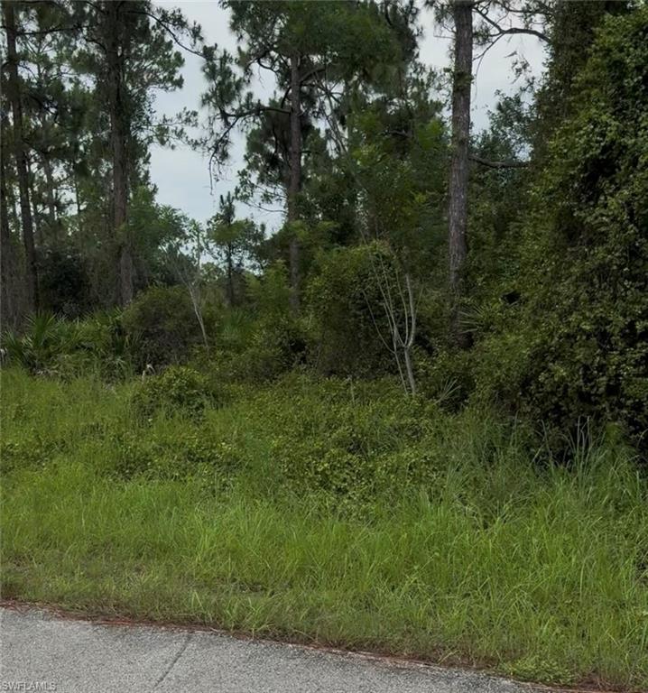 LEHIGH ACRES - Land