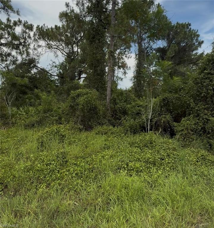 LEHIGH ACRES - Land