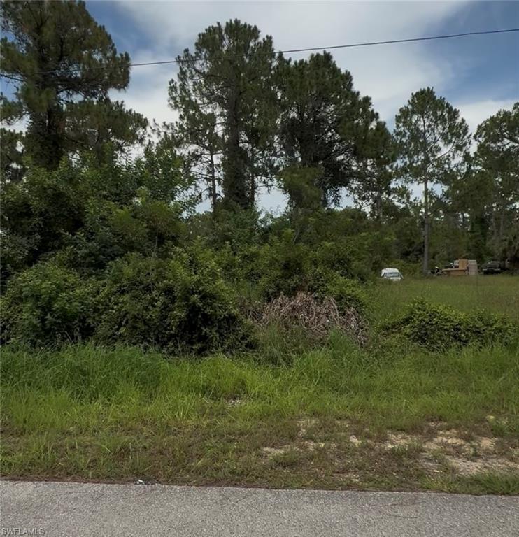 LEHIGH ACRES - Land