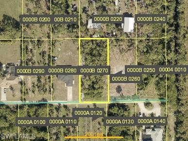 KREAMERS AVOCADO SUBD - Land