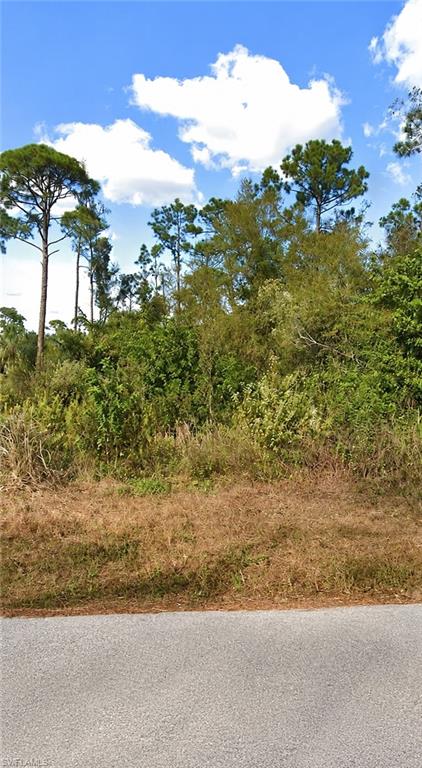 LEHIGH ACRES - Land
