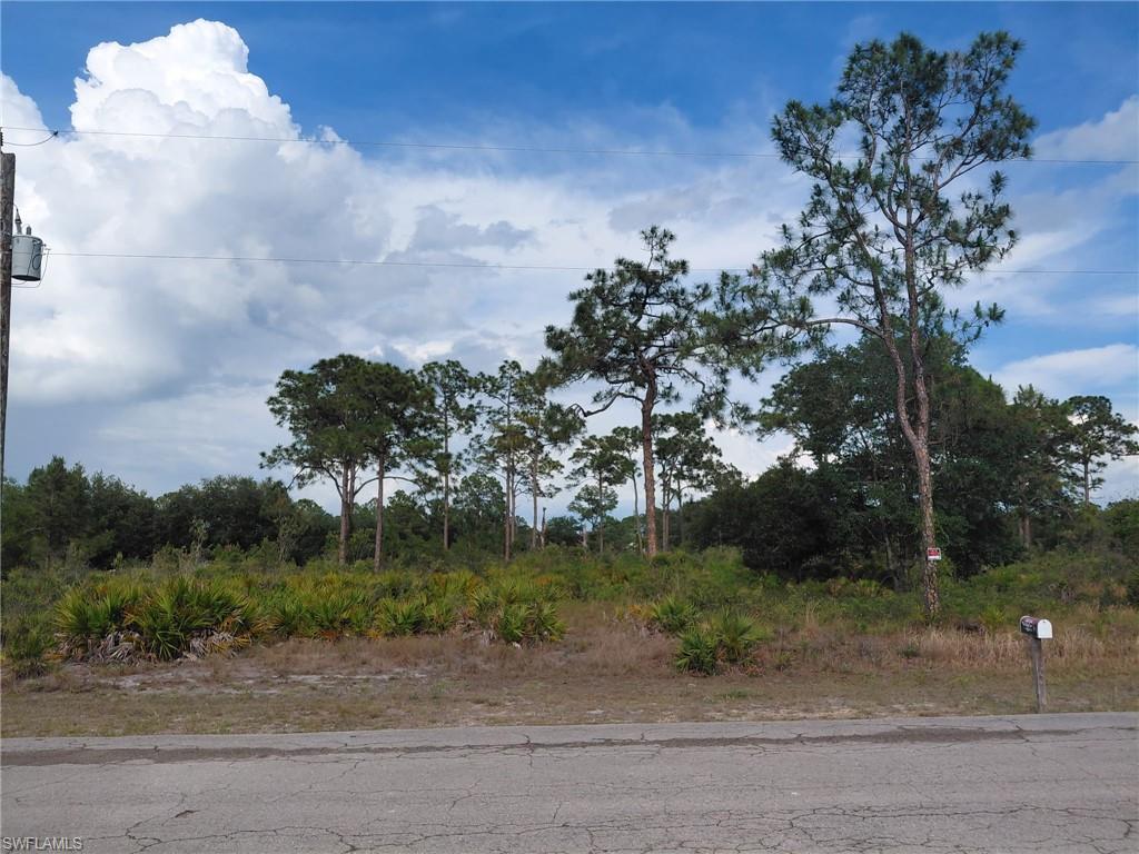 LEHIGH ACRES - Land