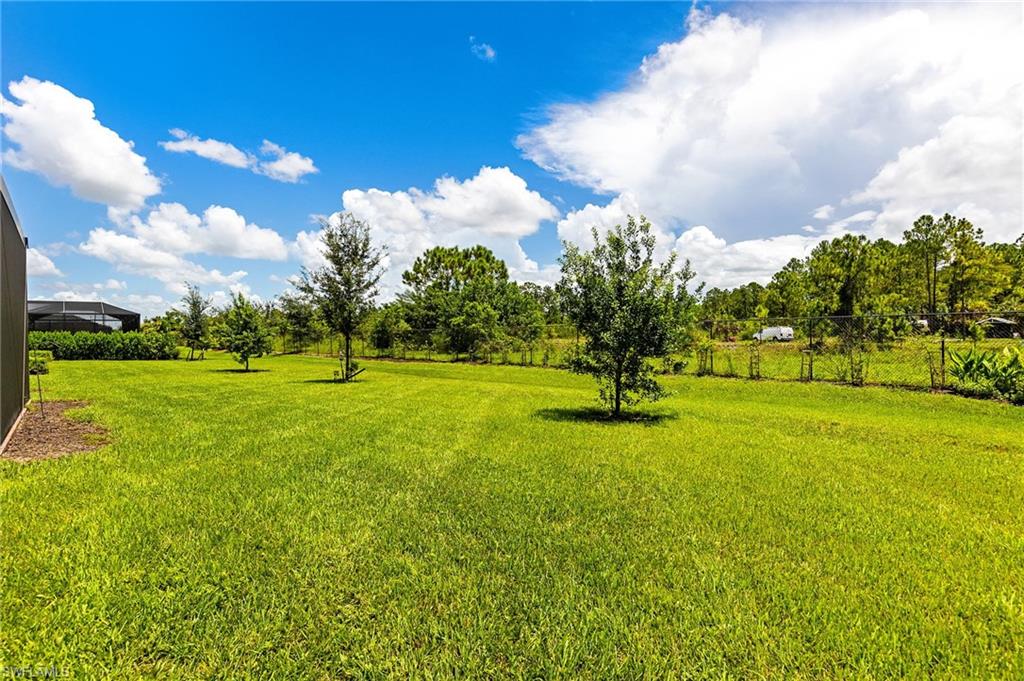 ORANGE BLOSSOM RANCH - Residential