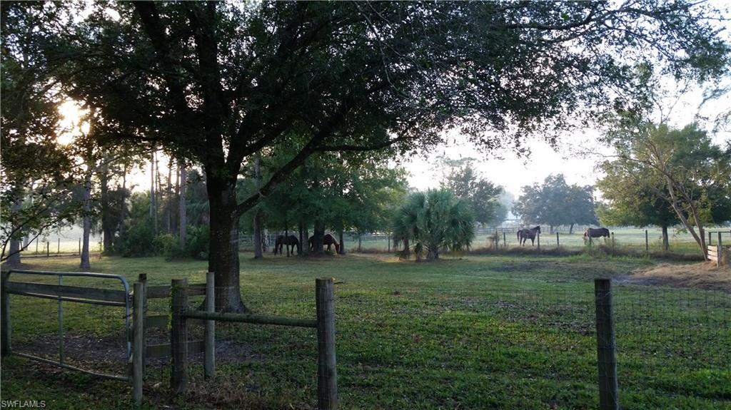 NORTH FORT MYERS PARK - Residential