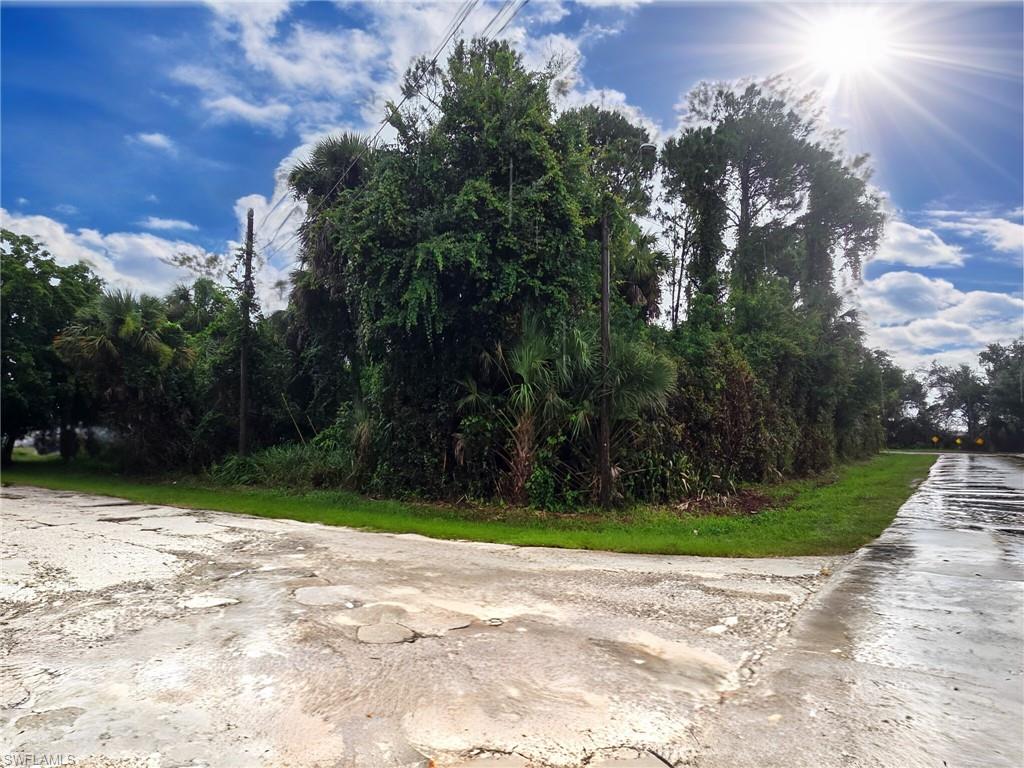 PALMONA PARK - Land