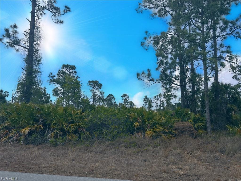Welcome to the fast growing city of Lehigh, Located in Lee county one of the top 2 fastest growing counties in Florida. Come and build your dream home on this land nicely paved in a super quiet area, close to SR 82, Fort Myers, FTM International airport, restaurants. The owners also own the lot next to it let's work out a deal for both!
LISTING 223025646
