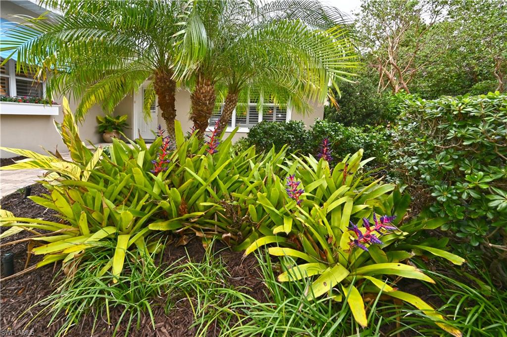 OLDE NAPLES - Residential
