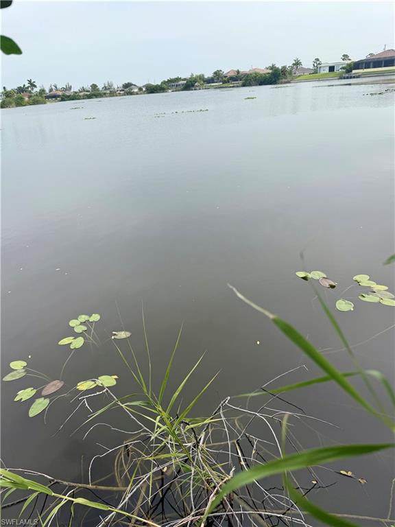 CAPE CORAL - Land