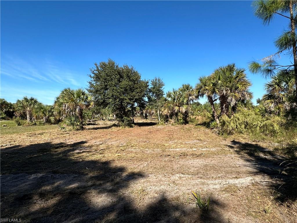 GOLDEN GATE ESTATES - Land