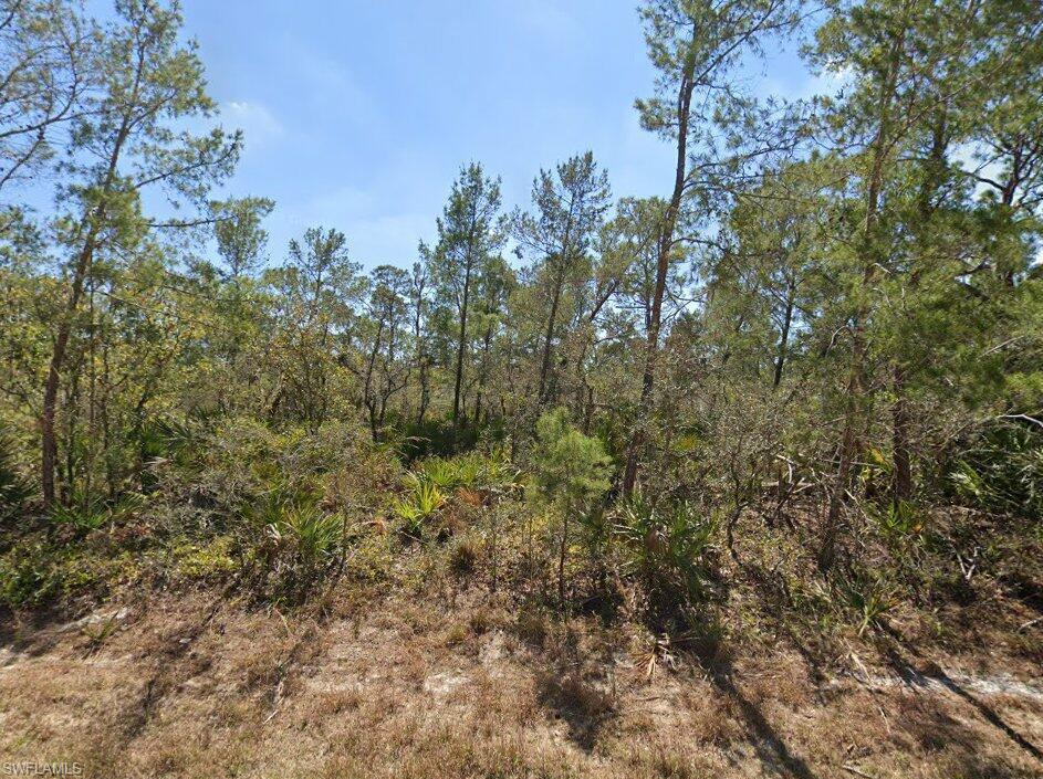 Set your sights on a spot where peaceful living comes naturally. This .23-acre lot in the serene, still-quiet community of Leisure Lakes South offers the flexibility to build your dream home now or hold it as a smart investment for the future. Not in a flood zone and surrounded by mostly undeveloped land, you gain the advantage of getting in early while still being just a short drive from everything that makes Lake Placid such a charming place to live.
