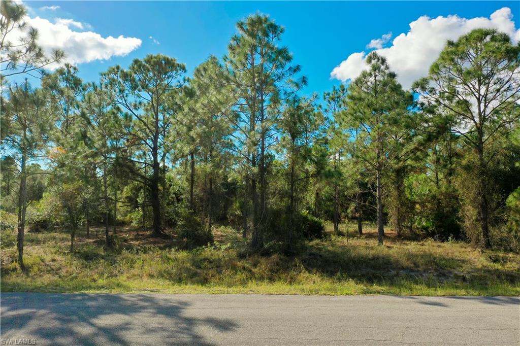 LEHIGH ACRES - Land