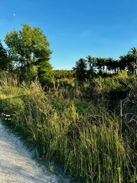 KREAMERS AVOCADO SUBD - Land