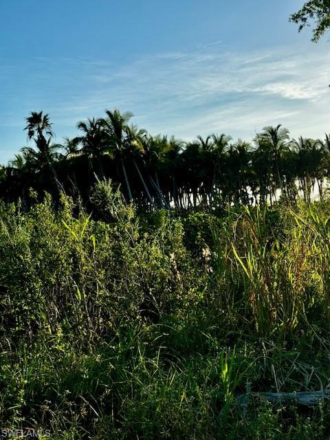 KREAMERS AVOCADO SUBD - Land