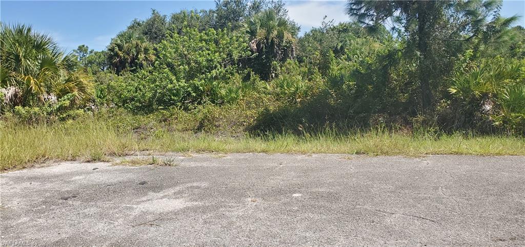 LEHIGH ACRES - Land