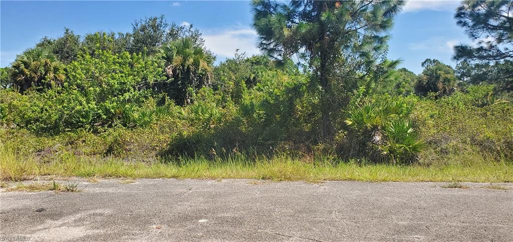 LEHIGH ACRES - Land