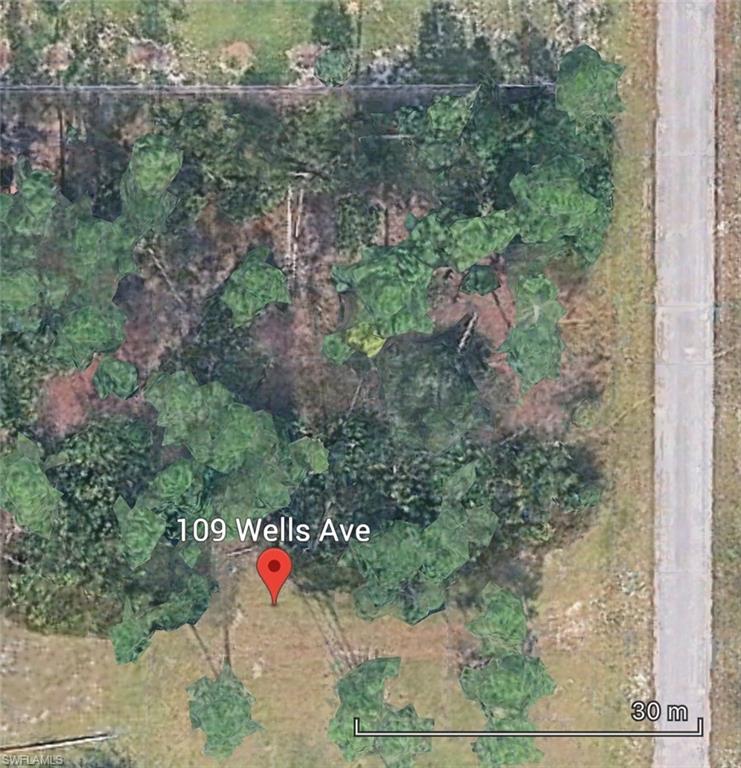LEHIGH ACRES - Land