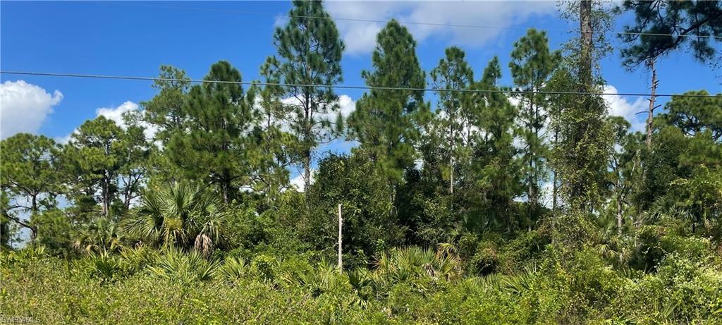 Great location to build your new home or buy for investment!