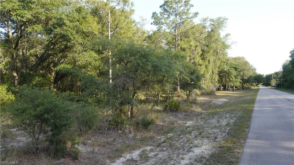 LEHIGH ACRES - Land