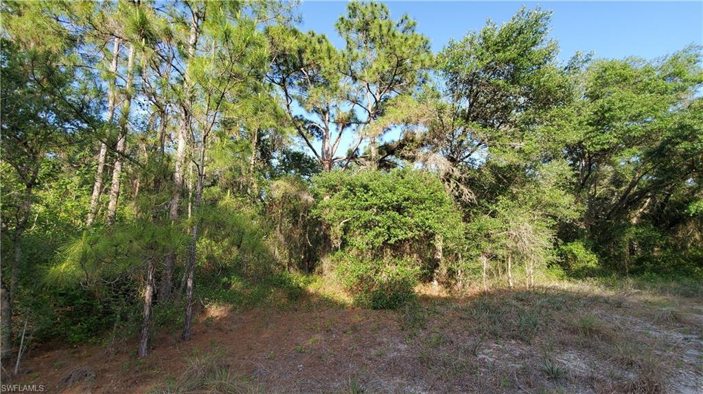 LEHIGH ACRES - Land