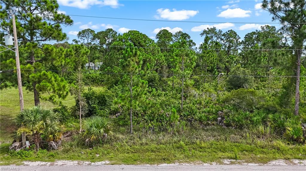 LEHIGH ACRES - Land