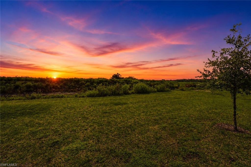 ORANGE BLOSSOM RANCH - Residential