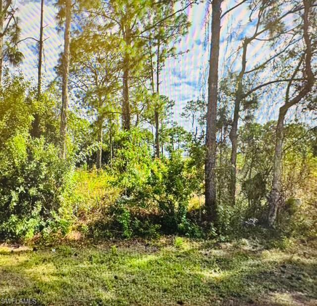 Discover the potential of this spacious lot located in Lehigh Acres, FL. This parcel has ample opportunity for development. Whether you envision building your dream home or investing in a promising area, this property provides a blank canvas to bring your vision to life. Enjoy the convenience of nearby amenities and a peaceful setting, making it a great choice for those seeking to create their own retreat.