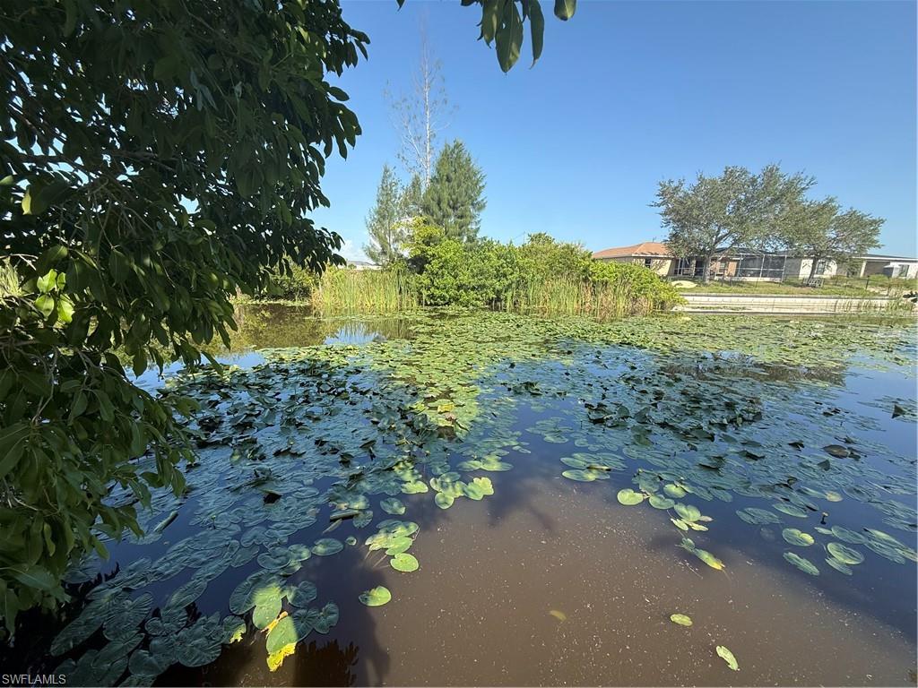 CAPE CORAL - Land