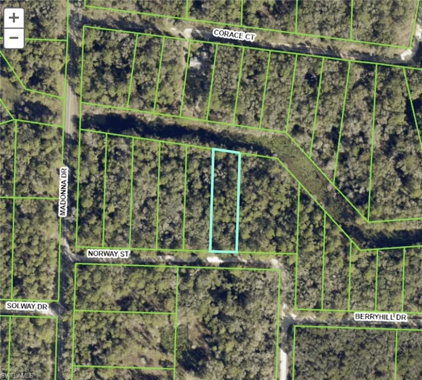 Peaceful .55 acre waterfront lot for sale. Great up and coming community, especially for nature lovers and outdoor enthusiasts-- new construction is popping up, but the neighborhood is still mostly rural. Paved road. No HOA. Need more space? 1.13 acre adjoining lot also available for purchase. Community park with baseball and basketball nearby. All kinds of Florida wildlife abounds in the area, especially native and migratory birds. And, the community is surrounded by some of the state's best wildlife areas. Right down the street is Withlacoochee State Forest with miles of hiking/horseback/biking trails. Silver Lake Recreation Area, Richloam Wildlife area, and Green Swamp West wildlife areas are just minutes away by car. Short drive to Interstate 75; Tampa, Orlando and Florida's gorgeous beaches are all within an hour drive. Don't miss the opportunity to own your own piece of paradise. I have a few dozen lots listed in the area, so if this one isn't perfect maybe another will be.