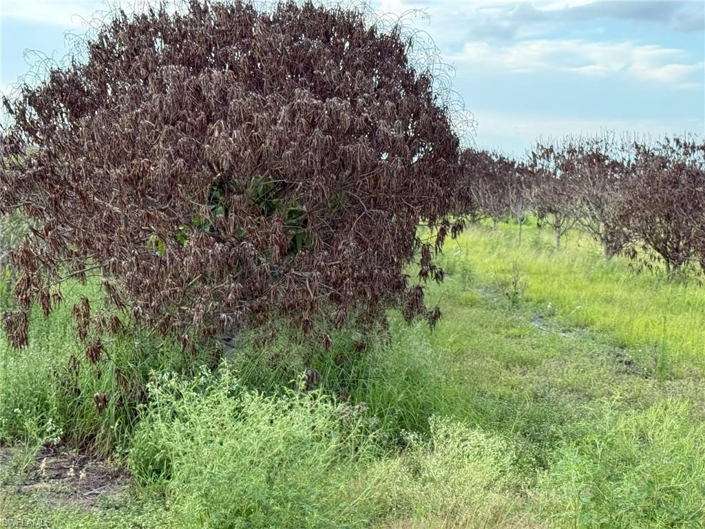 GERBER GROVES SEC 1 - Land