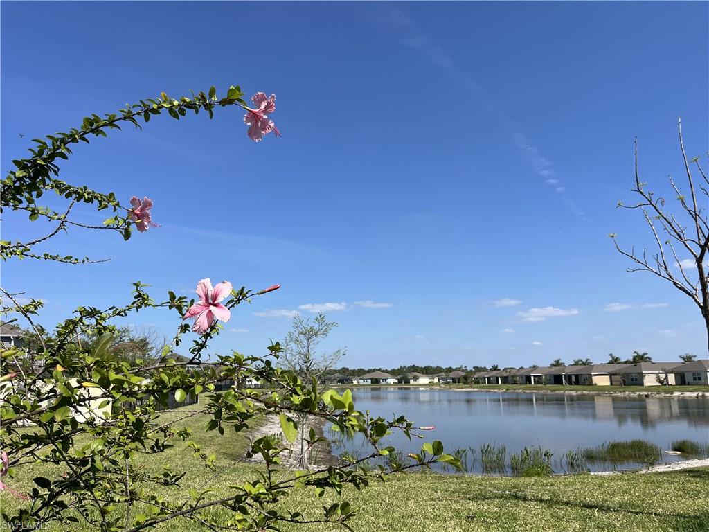 BRIGHTWATER - Residential