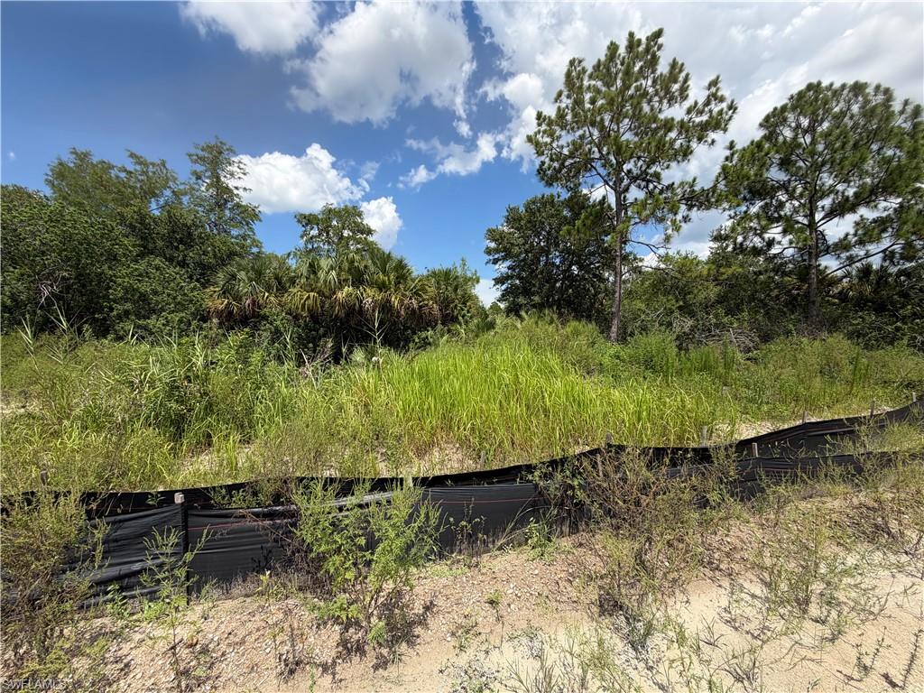 LEHIGH ACRES - Land