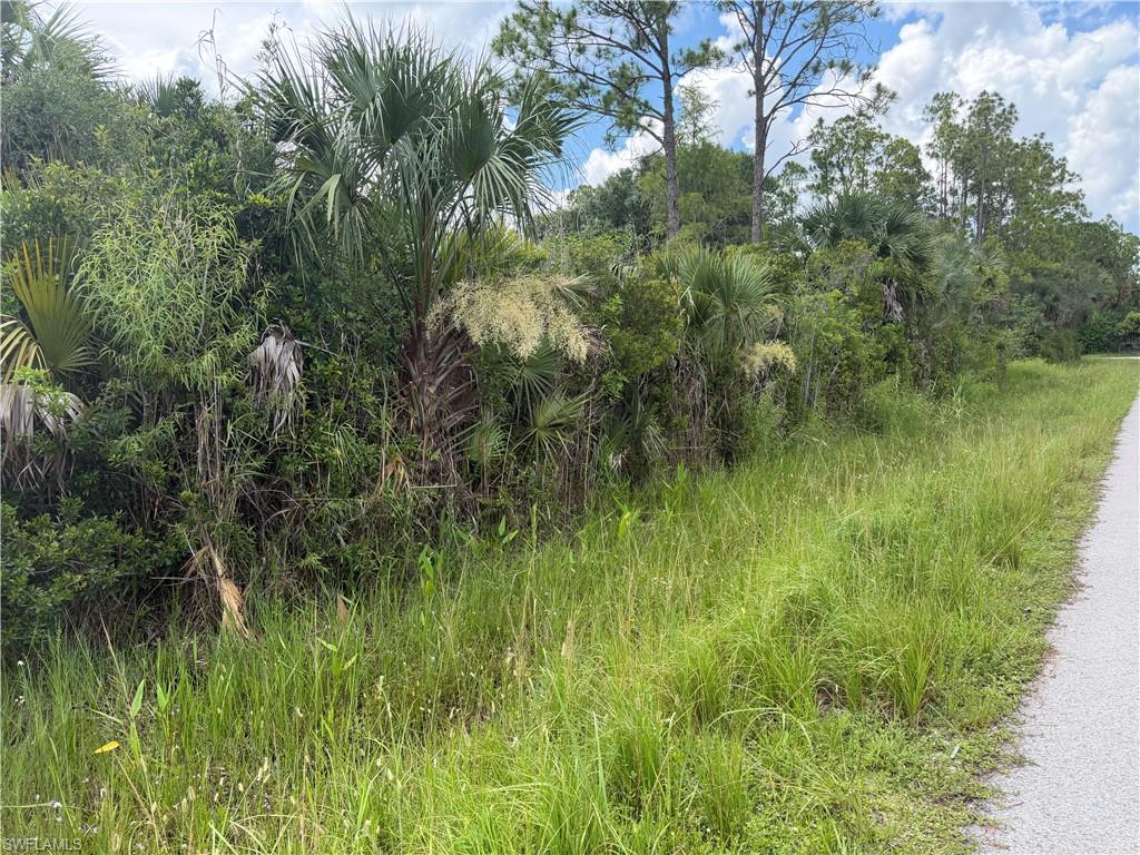 LEHIGH ACRES - Land