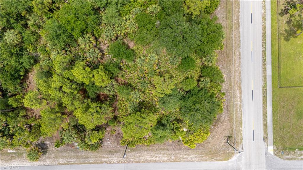 LEHIGH ACRES - Land