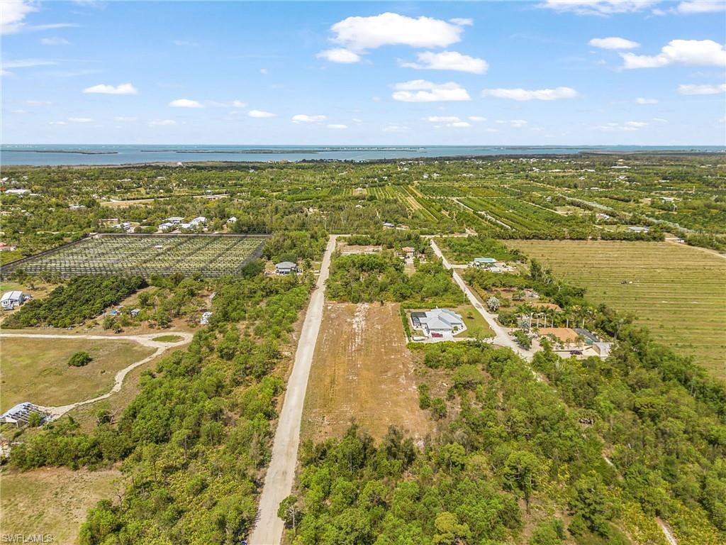 KREAMERS AVOCADO SUBD - Land