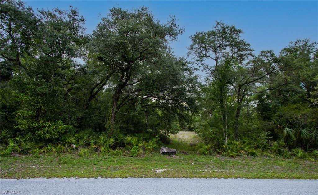 Great .48 acre lot on a scenic lake in Ridge Manor Estates. This site is perfect for a future dream home or as an investment. Partially cleared. Kayak and fish in your own back yard. Need more space? The adjoining .27 acre lot is also available, buy both for a fantastic waterfront compound. No HOA. Community Park. Great up and coming community, especially for nature lovers and outdoor enthusiasts-- lots of new construction is popping up, but the neighborhood is still rural and mostly wooded. No HOA. All kinds of Florida wildlife abounds in the area, especially native and migratory birds. And, the community is surrounded by some of the state's best wildlife areas. Right down the street is Withlacoochee State Forest with miles of hiking/horseback/biking trails. Silver Lake Recreation Area is only a few miles away. Richloam Wildlife area and Green Swamp West wildlife areas are just minutes away by car. Short drive to Interstate 75; Tampa, Orlando and Florida's gorgeous beaches are all within an hour drive. Don't miss the opportunity to own your own piece of paradise.