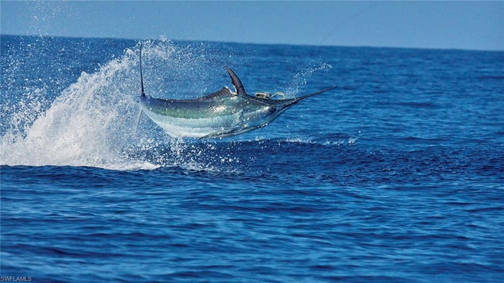 PUNTA GORDA - Land