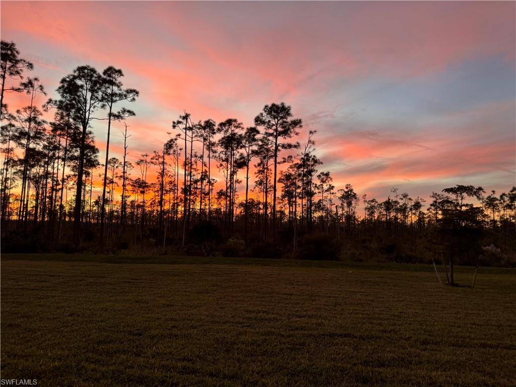 MAGNOLIA LANDING - Residential