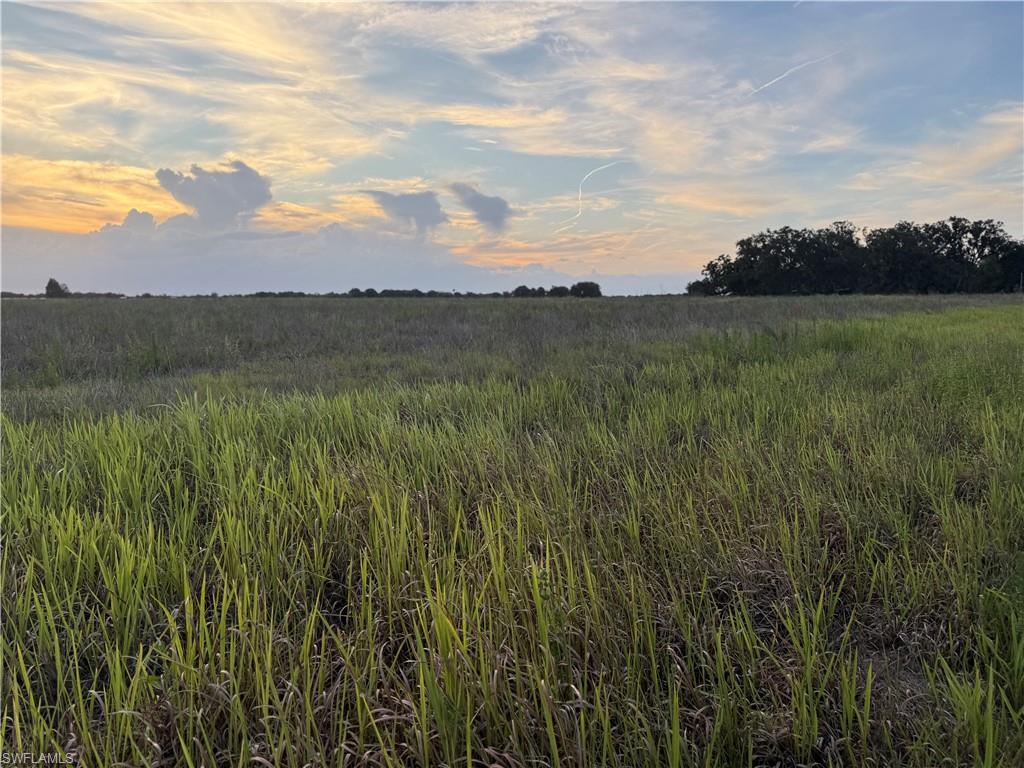 ACREAGE - Land