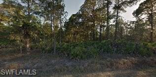 LEHIGH ACRES - Land