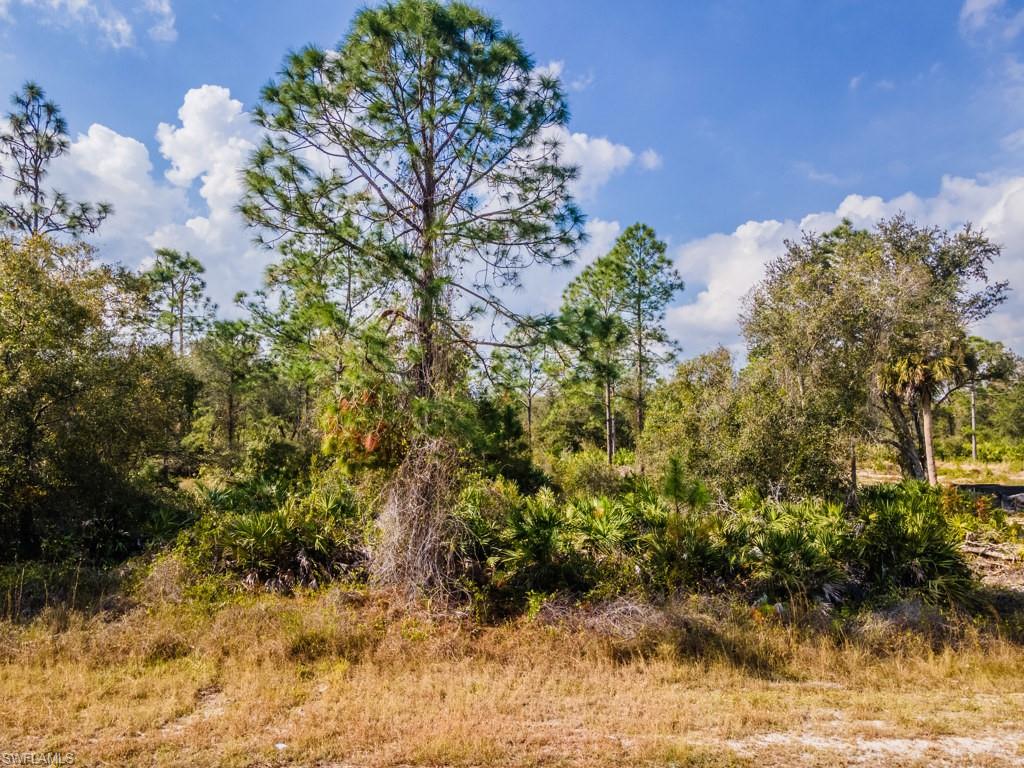 LEHIGH ACRES - Land