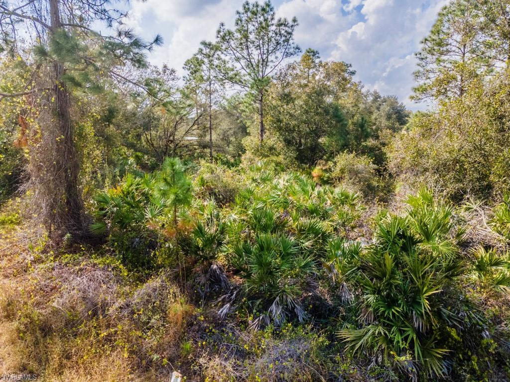 LEHIGH ACRES - Land