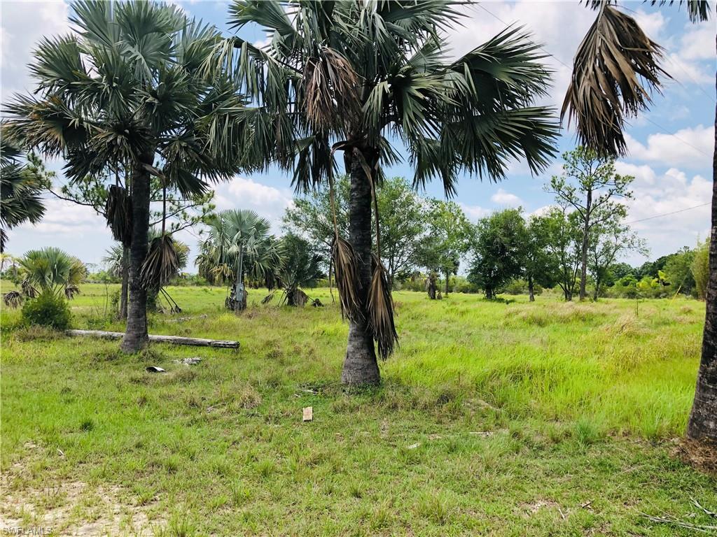 ACREAGE - Land