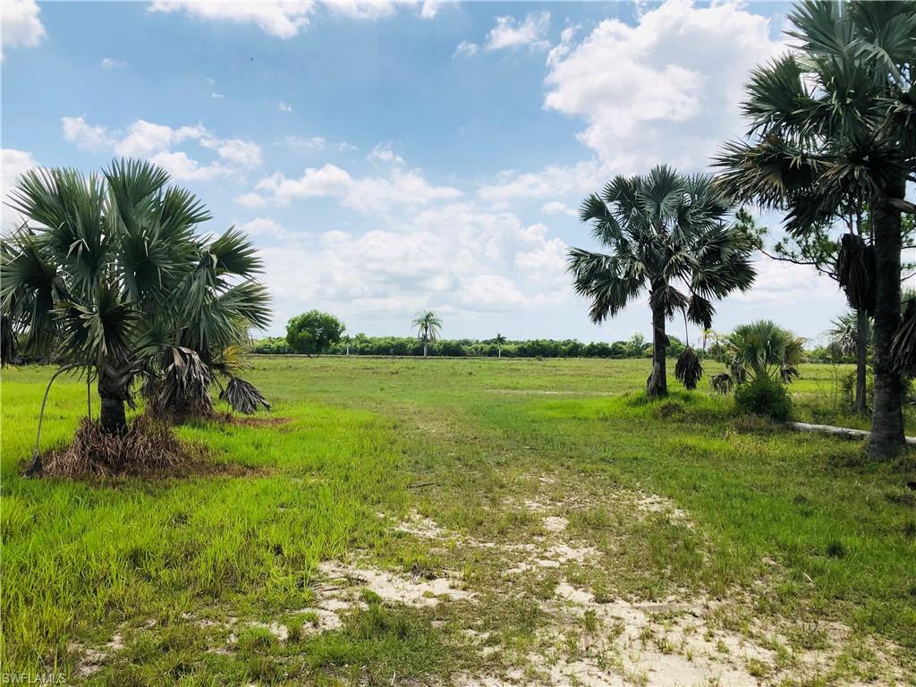 ACREAGE - Land